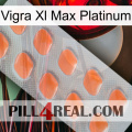 Vigra Xl Max Platinum 26